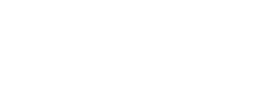 logo-levfin-insights-white