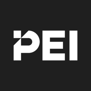 PDI icon